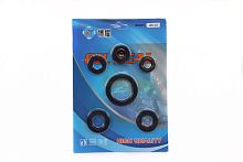 Набор сальников Alha,Delta, Zodiak, ОВ-70, 6 штук (70-125 см3)(13,7*24*5+12*21*4+11,6*24*10+17*29*5+18,9*30*5+30*42*4,5)