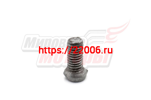 Винт М6х13 корпуса сальника генератора, опорной пластины подшипников Минск (завод)