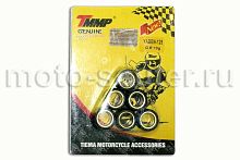 Ролики вариатора (комплект 6 штук) 16*13 4.5 грамм 139QMB, Honda